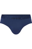 HIP BRIEF