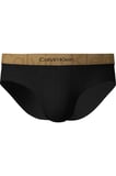 HIP BRIEF