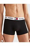 Erkek Tommy Hilfiger Underwear Bottoms Erkek Boxer UM0UM01810