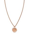 ROSEFIELD Sunray Rose JTNCRG.J449 Çelik Kolye