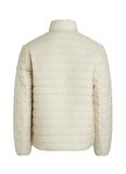 Calvin Klein Yeşil Erkek Mont K10K112362LEB