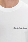 Calvin Klein Erkek T Shirt J30J324671 YAF