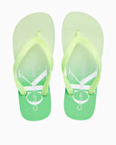 Calvin Klein Beach Sandal Gradient Kadın Terlik