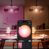 Philips Hue Essential 8W E27 806 Lumen Renkli Akıllı Ampul A60