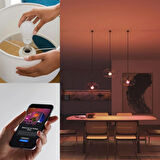 Philips Hue Essential 8W E27 806 Lumen Renkli Akıllı Ampul A60