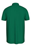 tommy Hilfiger Erkek Polo T-Shirt