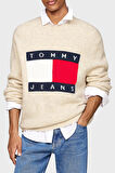 Tommy Jeans Erkek Kazak DM0DM19442 ACG