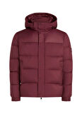 Tommy Hilfiger Mor Erkek Mont MW0MW36569VLP