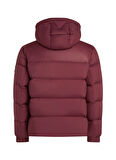 Tommy Hilfiger Mor Erkek Mont MW0MW36569VLP