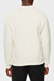 Tommy Hilfiger Erkek Sweat MW0MW35526 Z00
