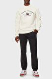 Tommy Hilfiger Erkek Sweat MW0MW35526 Z00