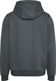 TOMMY HILFIGER TJM REG S FLAG HOODIE Sweatshirt