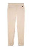 Tommy Jeans Erkek Jog Pantolon