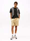 TOMMY HILFIGER TJM REG LINEAR LOGO TEE EXT T-Shirt