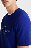 Tommy Hilfiger Erkek T Shirt MW0MW37448 D03