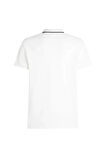 LEFT CHEST GRAPHIC REG POLO
