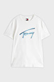 Tommy Jeans Erkek T Shirt DM0DM21109 YBL