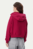 Kadın Tjw Script Logo Kapüşonlu Sweatshirt - Bordo | M