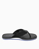 Tommy Hilfiger Logolu Beach Flip Flops Terlik