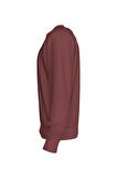 Erkek MONOLOGO CREW NECK Kazak - Elma | XL