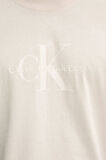 Calvin Klein Erkek T Shirt J30J327109 PDH