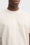 Calvin Klein Erkek T Shirt J30J327109 PDH