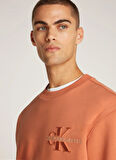 Calvin Klein Jeans Kahve Erkek Sweatshırt J30J327105GAM BRISTLE MONOLOGO CRW