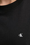 Calvin Klein Bayan T Shirt J20J225113 BEH
