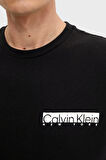 Calvin Klein Erkek T Shirt K10K113800 BEH