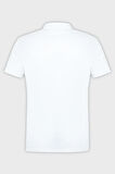 Tommy Hilfiger Erkek Polo Yaka T Shirt MW0MW33576 YBR