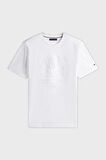 Tommy Hilfiger Erkek T Shirt MW0MW39168 YBR
