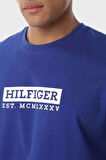 Tommy Hilfiger Erkek T Shirt MW0MW39149 D03
