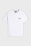Tommy Hilfiger Erkek T Shirt MW0MW38644 YBR