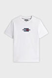 Tommy Hilfiger Erkek T Shirt MW0MW38636 YBR