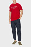 Tommy Hilfiger Erkek T Shirt MW0MW38621 XLD