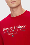 Tommy Hilfiger Erkek T Shirt MW0MW38621 XLD
