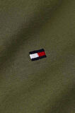 Tommy Hilfiger Erkek Polo Yaka T Shirt MW0MW39994 RBN