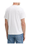 Calvin Klen Gel Ovarlay Erkek T-Shirt K10K114174