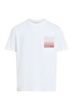 Calvin Klein Erkek Sırt Bölüm Çizgi Ve Calvin Klein Yazı Desenli T-Shirt K10K114164-YAF
