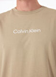 Calvin Klein Kahve Erkek T-Shirt K10K111346HI0