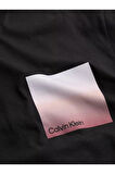 Calvin Klein Erkek Sırt Bölüm Çizgi Ve Calvin Klein Yazı Desenli T-Shirt K10K114164-YAF