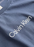 Calvin Klein Gri Erkek T-Shirt K10K111346PCP