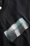 Calvin Klein Erkek T Shirt K10K114574 BEH
