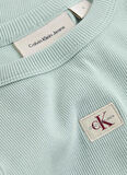 Calvin Klein Jeans Yuvarlak Yaka Düz Mavi Kadın Atlet J20J225302CDV