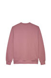 Tommy Jeans Erkek Sweatshirt-DM0DM20660