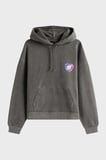 Tommy Jeans Kadın Sweat DW0DW20945 BDS