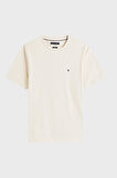 Tommy Hilfiger Erkek T Shirt MW0MW39995 ACG