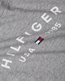 TOMMY HILFIGER Erkek  Koyu Gri T-Shirt MW0MW39356 P91