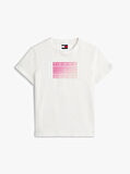 Tommy Jeans TJW REG GRADIENT FLAG SS Kadın Beyaz T-shirt DW0DW20905YBL