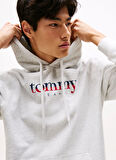 Tommy Jeans Kapüşon Yaka Açık Gri Erkek Sweatshırt DM0DM22113P09 TJM REG DNA HOODIE EX